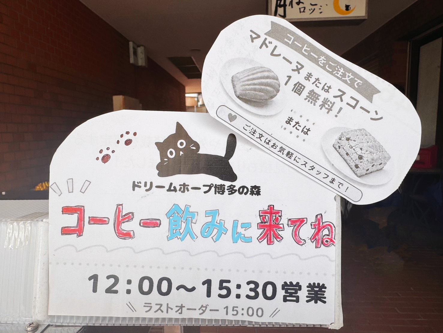 臨時閉店のお知らせと来週の営業について