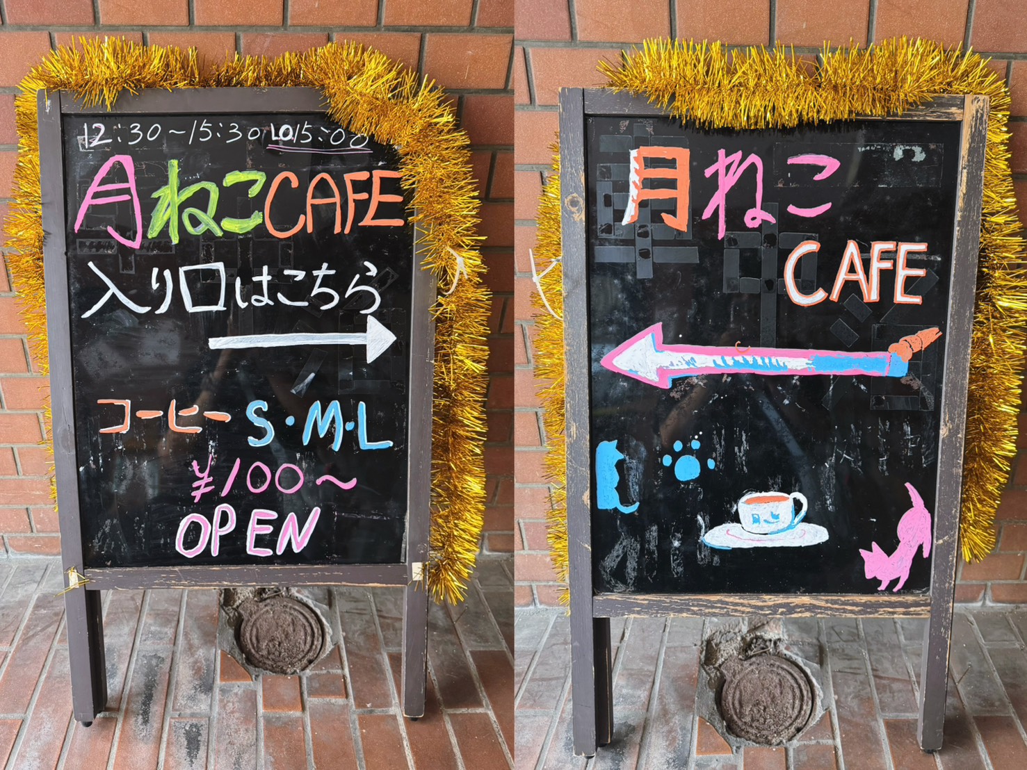 新しい看板が完成しました🐱🌙