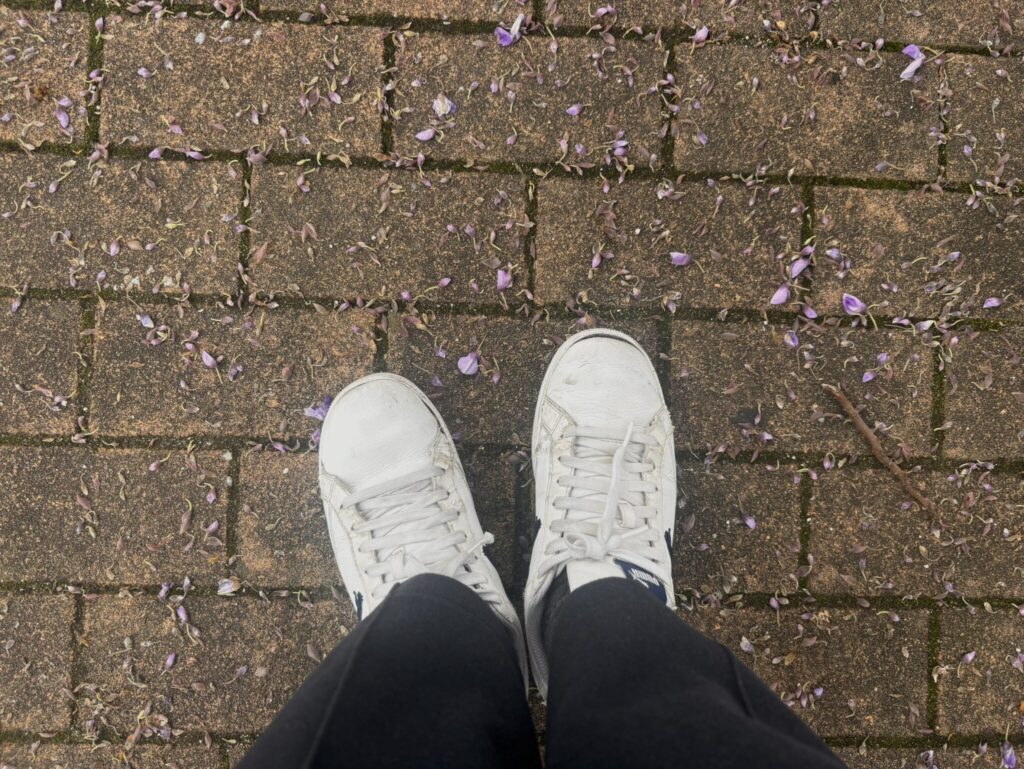 藤の花が咲いてきました✿