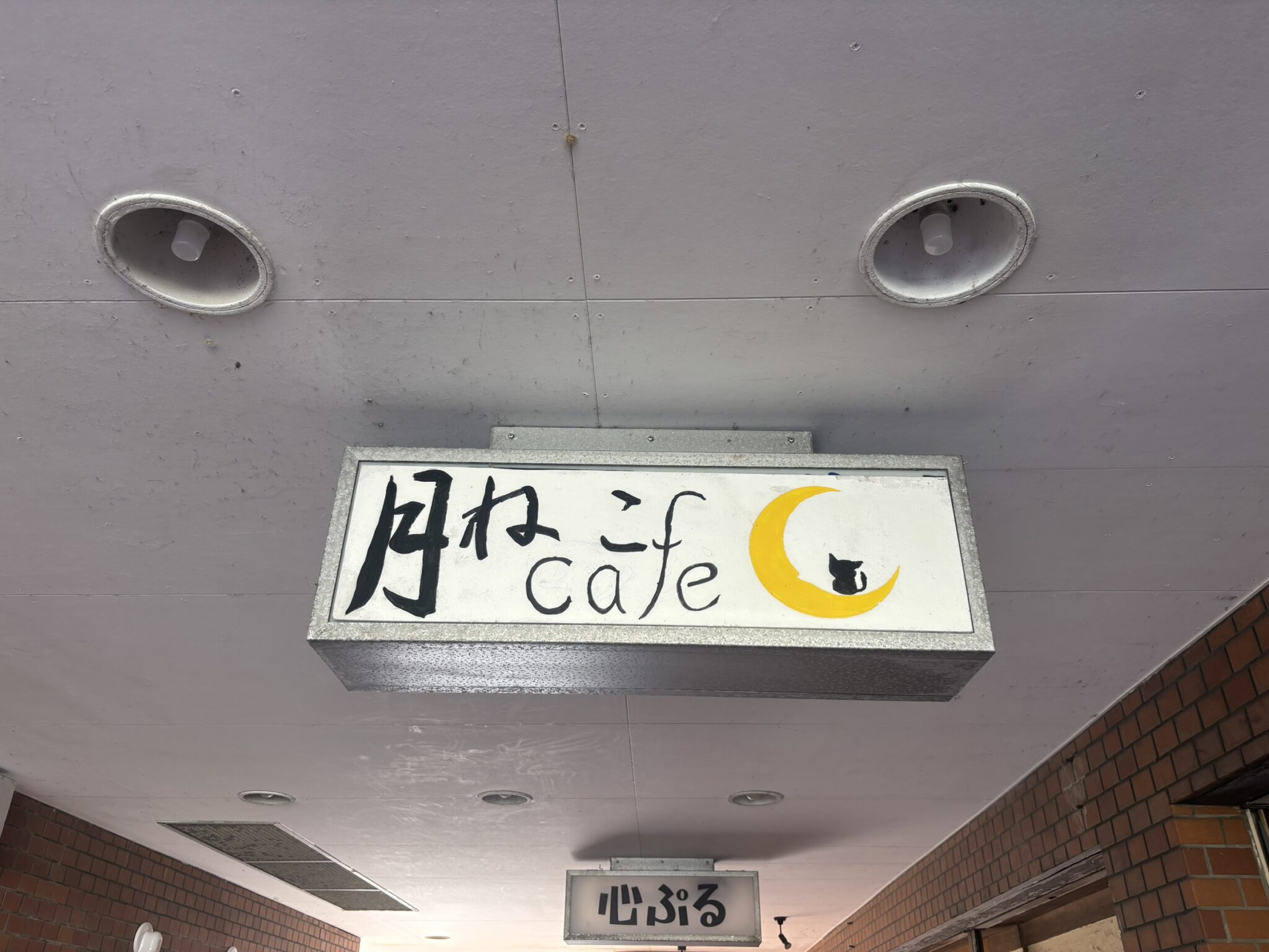 月ねこcafeへようこそ🐈🌙 看板を目印にお越しください！