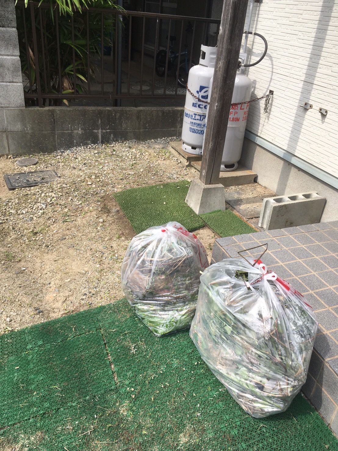 タイニーハウスの草むしり